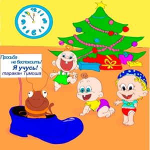 Таракан Тимоша